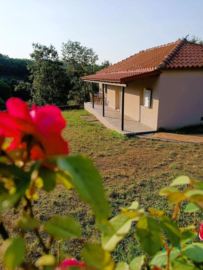 Vila Billy'S House Kalambaka Exteriér fotografie