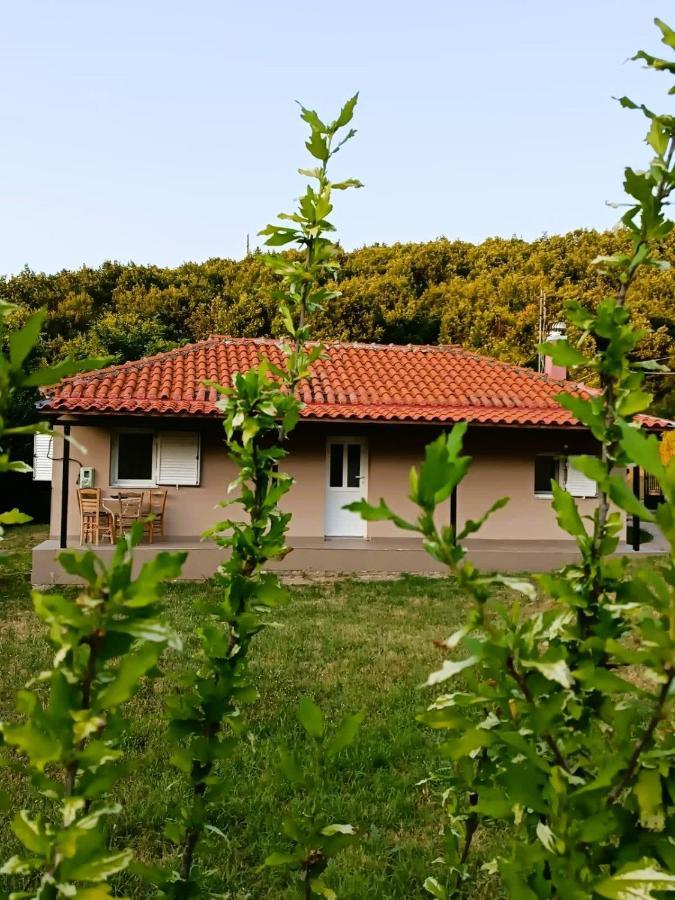Vila Billy'S House Kalambaka Exteriér fotografie